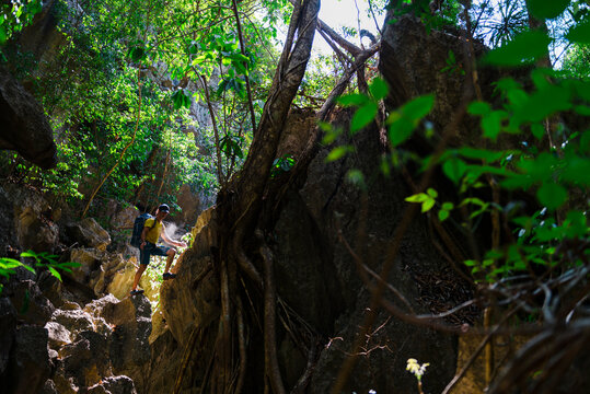 Adventurer climbing up rock in jungle
