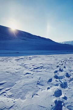 Explore Arctic: trace