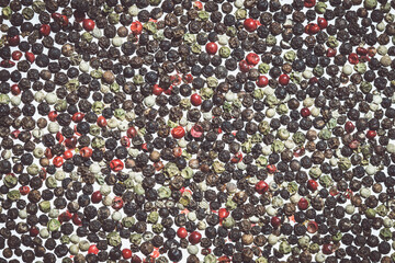 Colored pepper isolated on white background