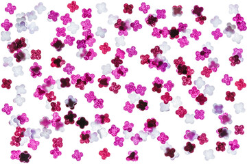 Flower pink petals isolated on white background
