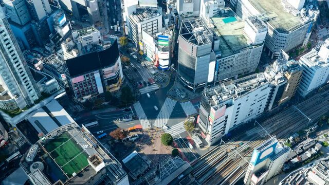 Shibuya Crossing