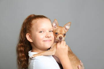 Little girl with her Chihuahua dog on grey background. Childhood pet