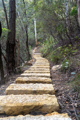 Fototapeta premium stairway to heaven, a walking trail in the Blue Mountains in NSW near Sydney in Australia