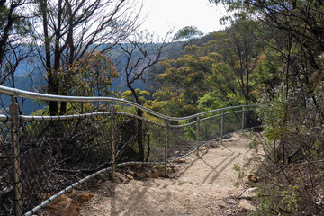 walking trail in the bush, with views of the Blue Mountains