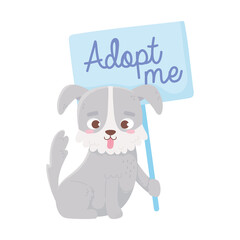 adopt a pet, cute puppy with placard cartoon