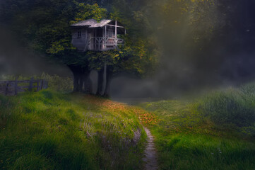 tree house above the meadow at the edge of the misty forest