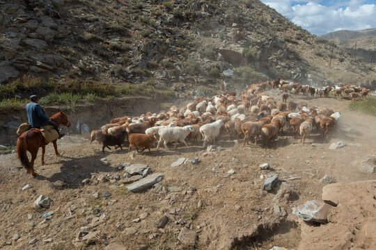 Daily life in Xinjiang, China