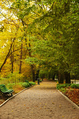 Obraz premium Beautiful view of park with trees on autumn day