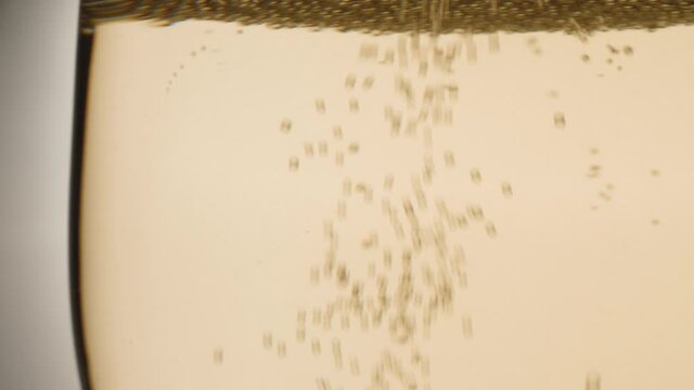 Champagne flute with bubbbles