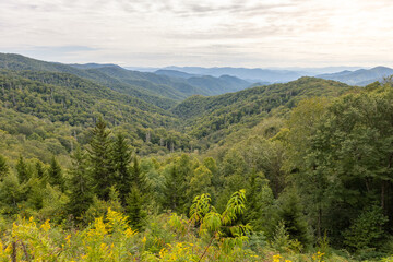 Viewpoint from Smoky Mountain National Park