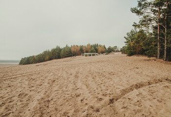 Bledow desert (pustynia bledowska) in Poland