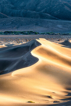 S-Shaped dune in the desert
