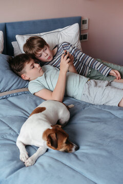 Young brothers use an electronic gadget.