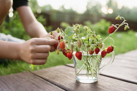 Strawberry twigs with berries in a glass cup.