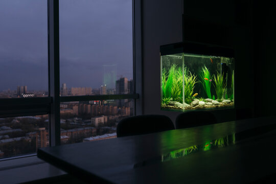 Modern interior with an aquarium.