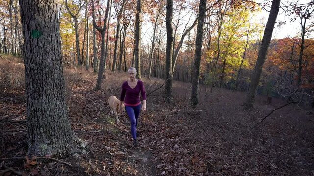 Front view of woman hiker walking with her dog in the fall forest on a sunny autumn day, slow-motion 4K video.