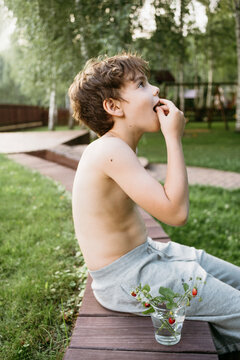 Summer portrait of a young boy.
