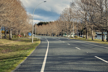 New Zealand roads, and trees around
