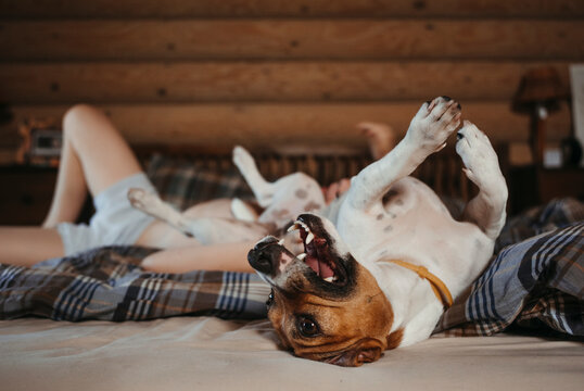 A dog with child.