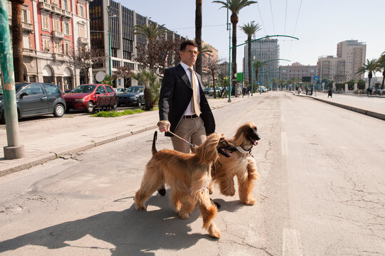 Portrait of a mid age man walking the Afghan dogs