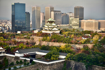 Fototapeta premium 日本の大阪城の紅葉