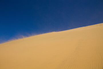 Fototapeta na wymiar Desert dunes in the medanos de Coro in Falcón, Venezuela