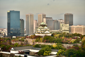 Fototapeta premium 日本の大阪城の紅葉