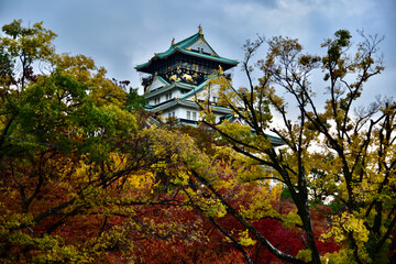 Fototapeta premium 日本の大阪城の紅葉