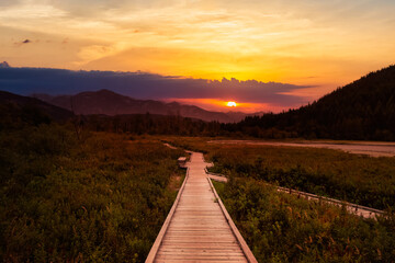 Wooden walking path on One Mile Lake with flowers. Picture taken in Pemberton, British Columbia, Canada. Dramatic Sunrise Sky Art Render.