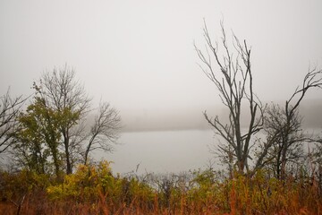 misty morning on the lake