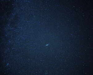 Heritage chickens on a small homestead in the county. Small-scale poultry farming in Ontario, Canada.