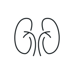 kidney organ icon vector illustration