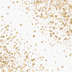 Golden Circle Vector Transparent Background. 