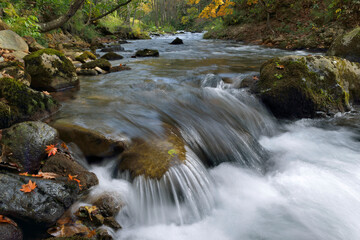 秋の渓流（北海道・鹿追町）
