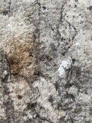 Marbled Concrete