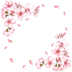 Obraz na płótnie Canvas 水彩の桜の花フレーム