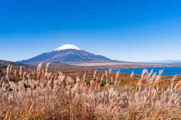富士山と山中湖の秋景色