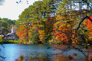 秋の裏磐梯の五色沼