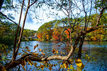 秋の裏磐梯の五色沼