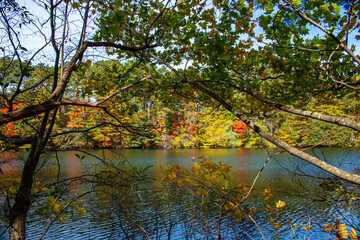 秋の裏磐梯の五色沼
