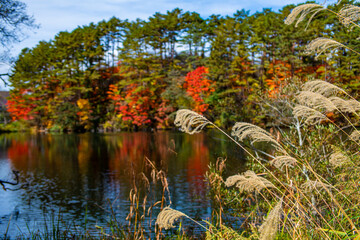 秋の裏磐梯の五色沼