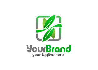 Logo of green leaf with square frame background vector,  Leaf logo eco graphic creative template. Environment decoration modern leaf emblem