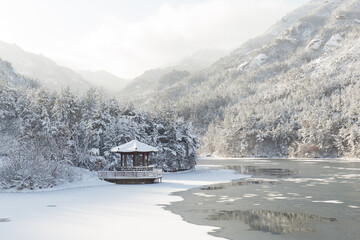 snow covered mountains