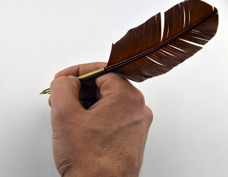 
pen for coligraphy in the hand of a man on a white background