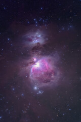 Obraz na płótnie Canvas orion nebula