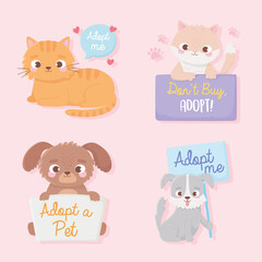 adopt a pet, cute little dogs and cats animals with lettering