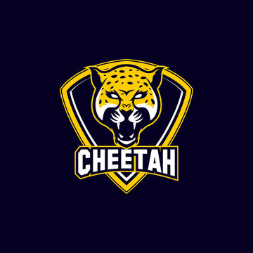 angry cheetah sports mascot icon shield with aggressive expression vector icon