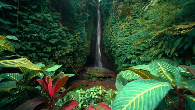 Beautiful Waterfall hidden in tropical rainforest jungle on nature background. 4K