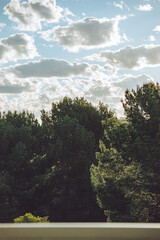 Obraz premium cloudy sunny sky with trees in bottom half 