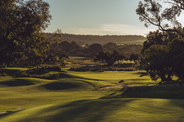 Fototapeta premium golf course at sunset 
